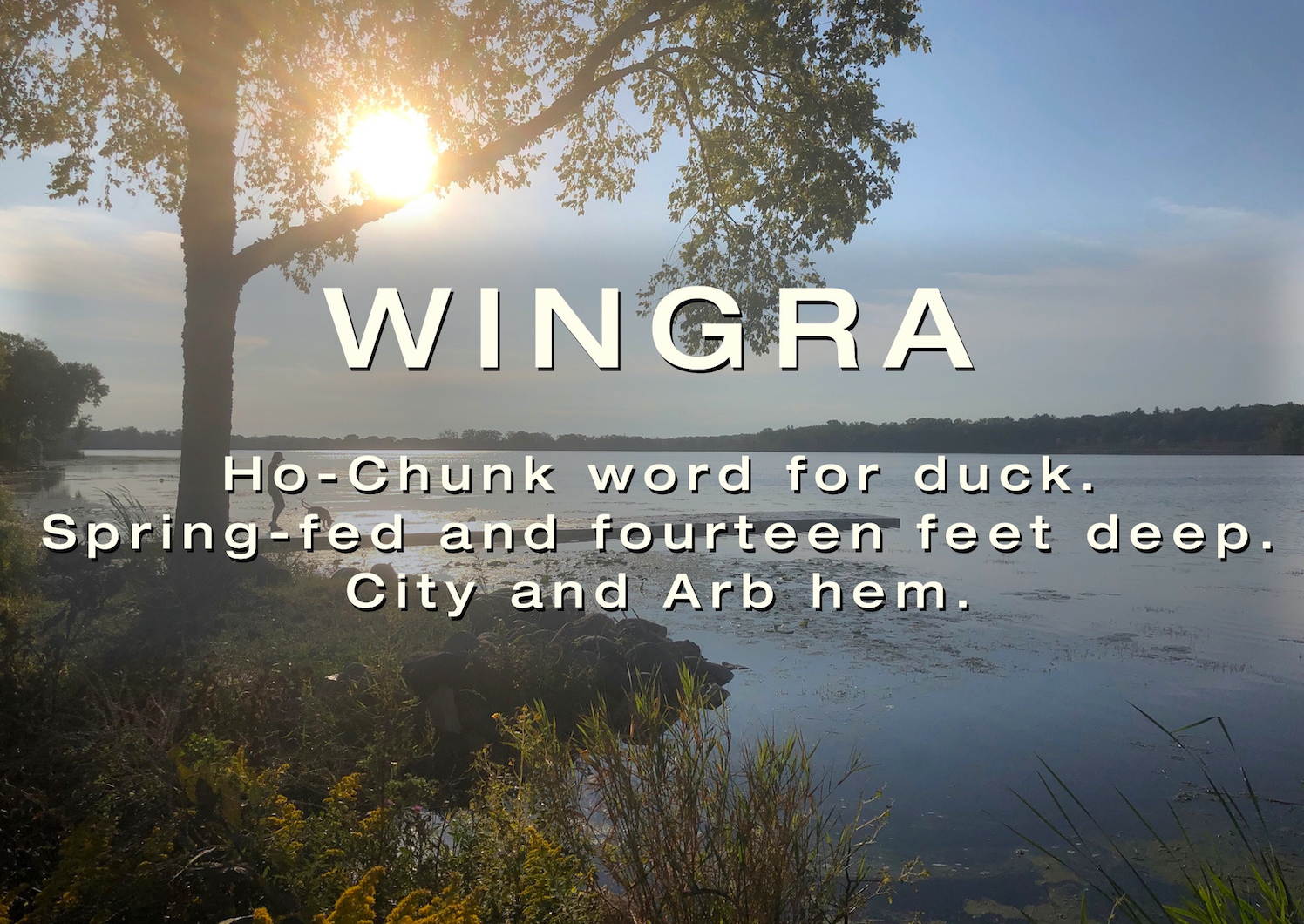 Lake Wingra Haiku Walk.