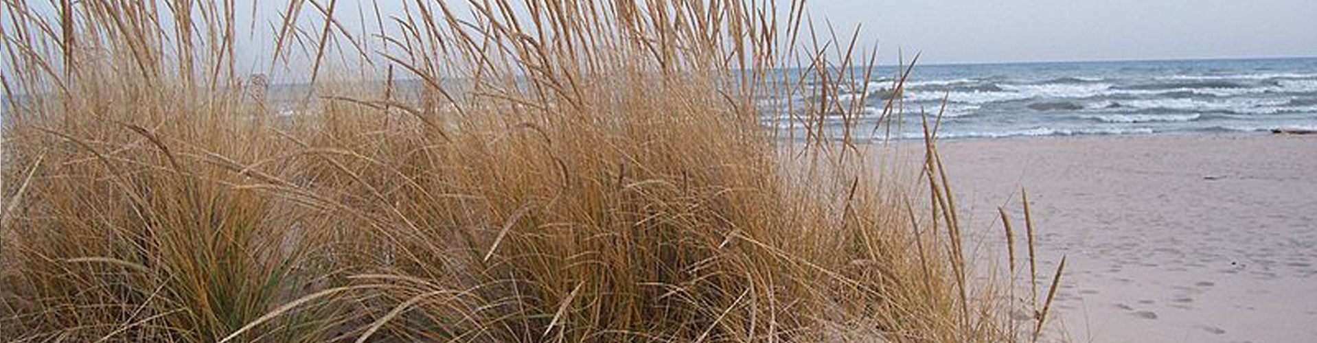 The Great Lakes of Wisconsin include Lake Michigan and Lake Superior.