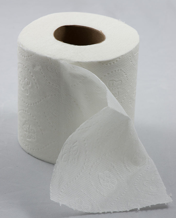 Green Bay, Wisconsin is the The Toilet Paper Capital of the World.