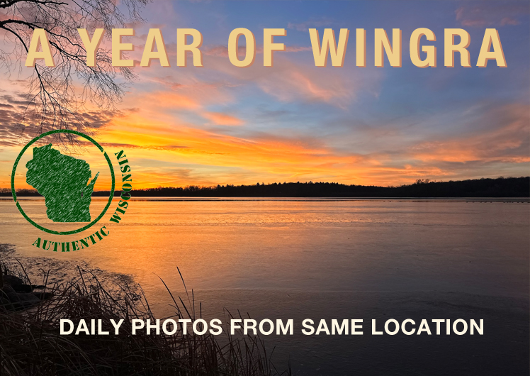 A year of looking at Lake Wingra from same location mostly at the same time.